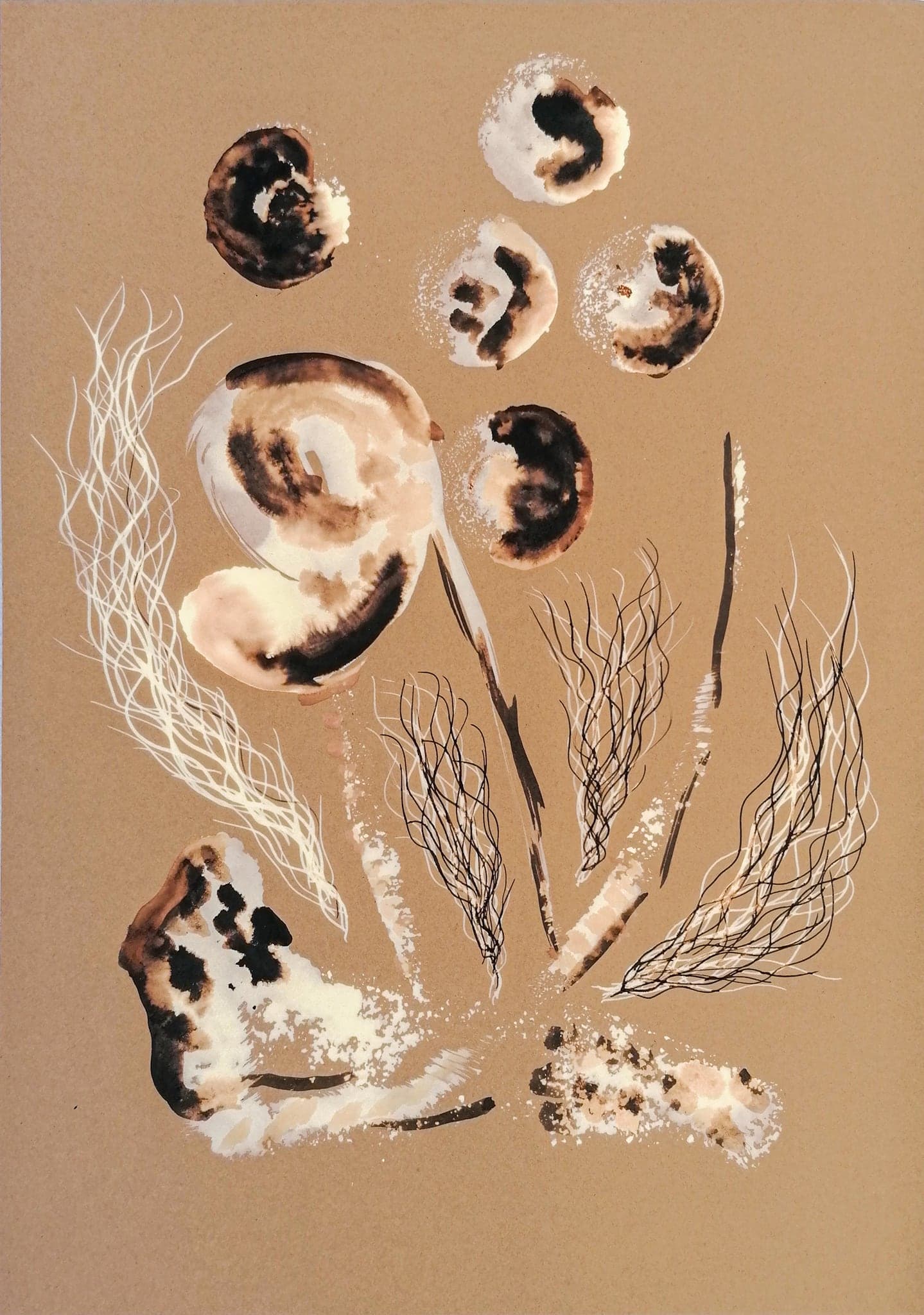 A tan card with five round urchin forms floating above pale feathered fronds, each with a dark scorched centre