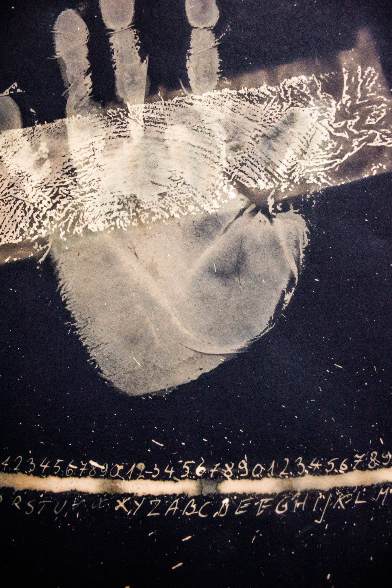 A handprint pressed into bleach on black paper, fine tendrils spreading downward from the palm like roots, with two small standing forms above it