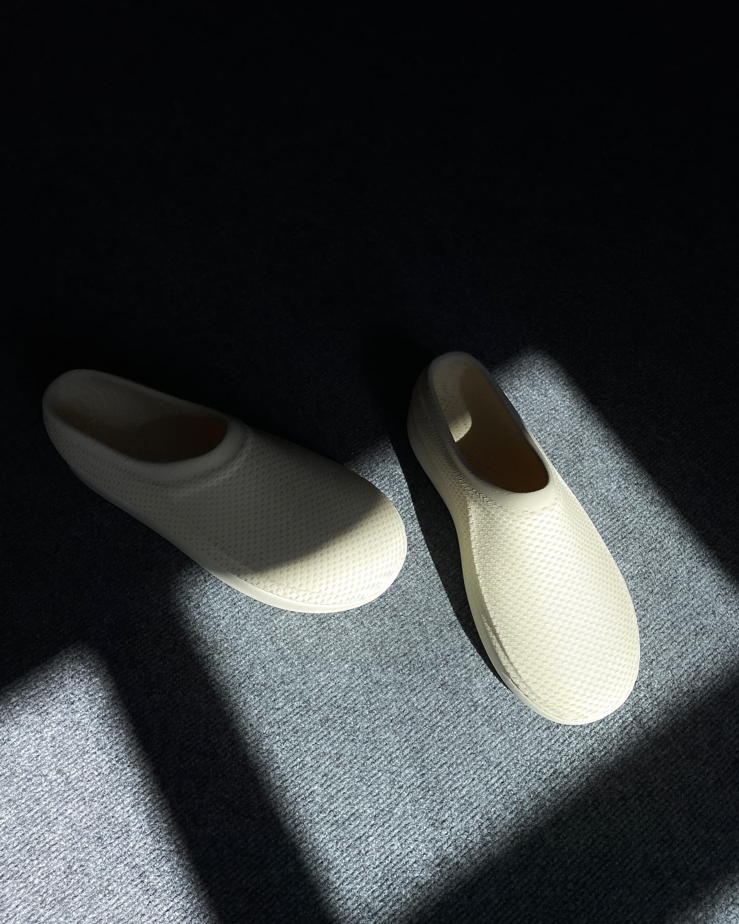 CASUL pair on grey carpet in a band of hard sunlight