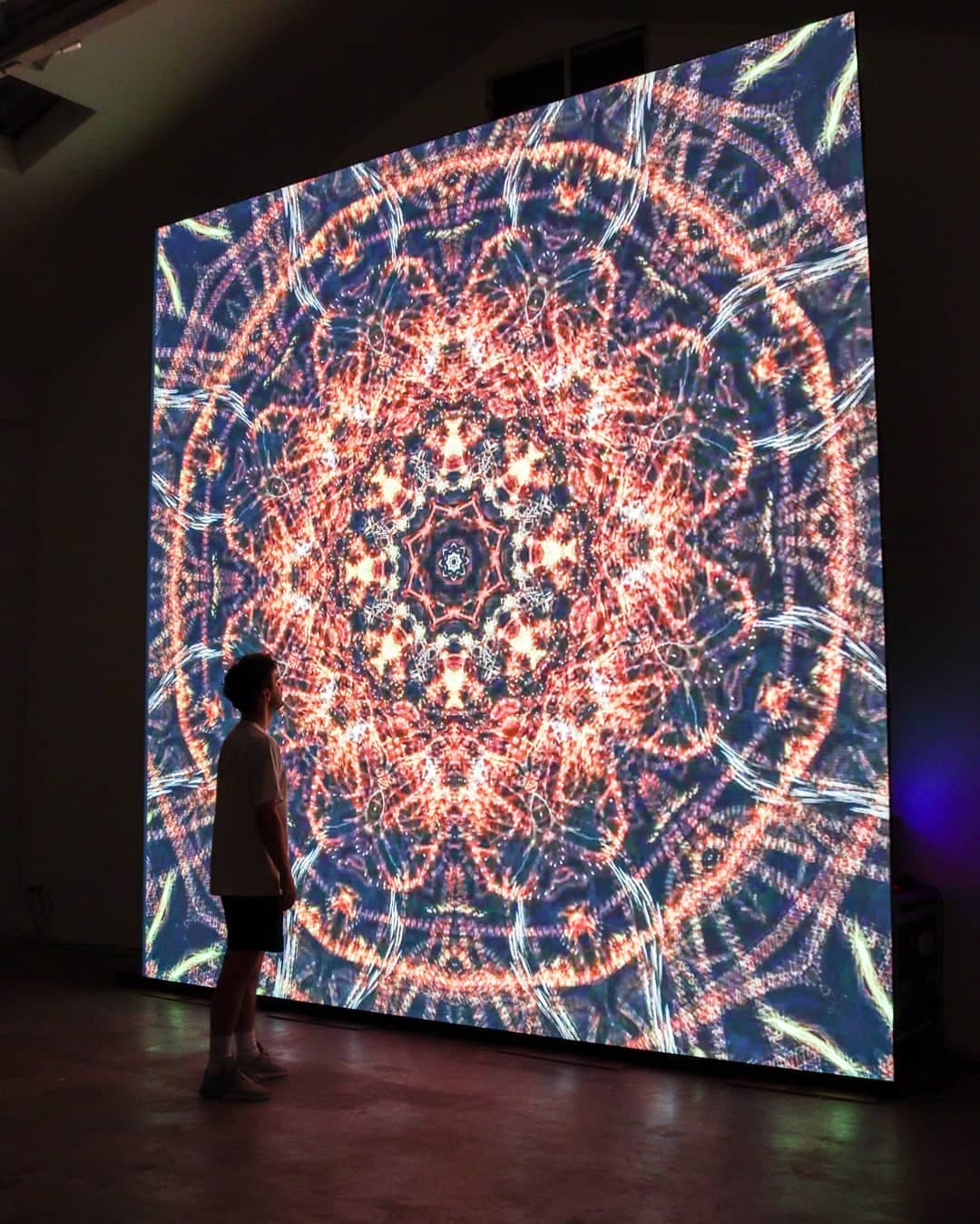 The work projected five metres square, a visitor silhouetted small against it