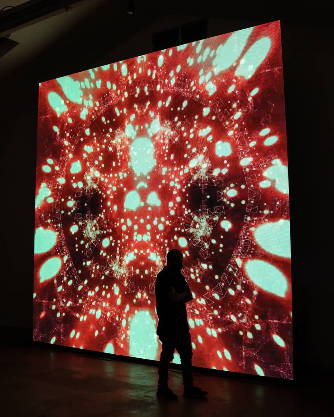 A frame in deep red and pale green, cells opening across the whole screen