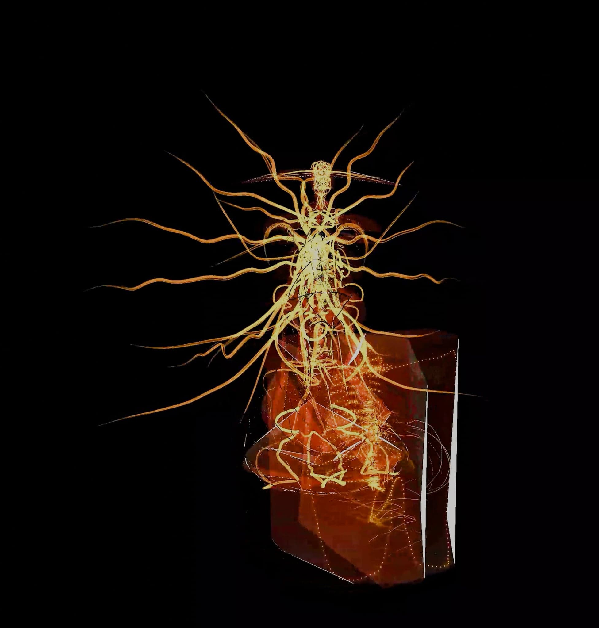 The filament crown spread wide above the amber block, a clear flat plane cutting across its right face