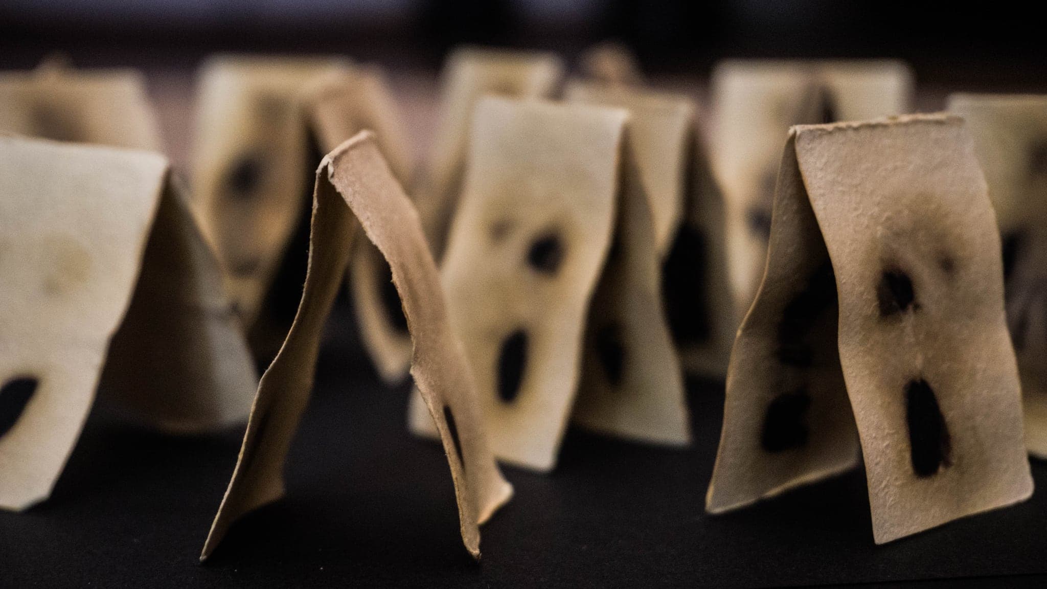 A row of small pale cards standing on edge, each carrying one dark bleached shape, the row falling out of focus.