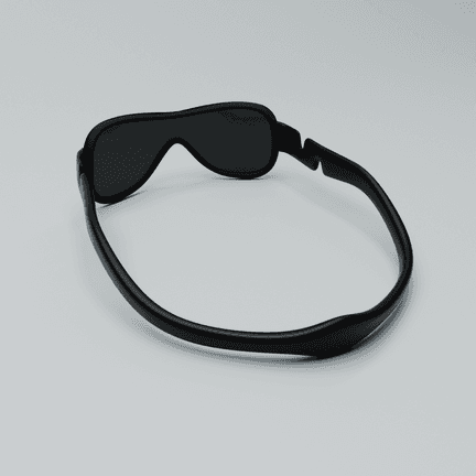NIGHTWING from behind and above, the inside of the visor and the loop that carries it