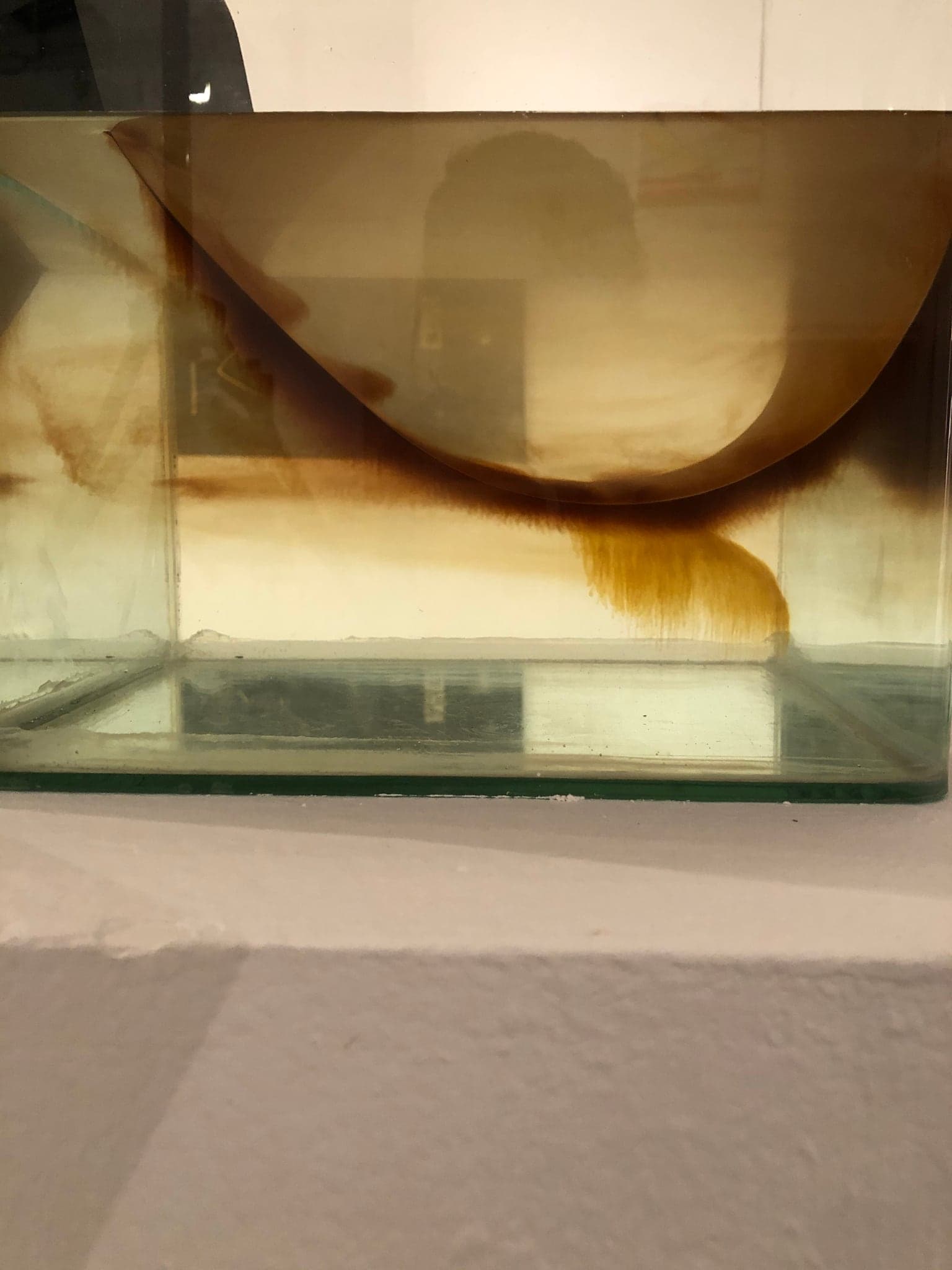 The same piece later in the exhibition: the paper has turned brown well above the waterline and a plume of colour has bled down into the now amber liquid
