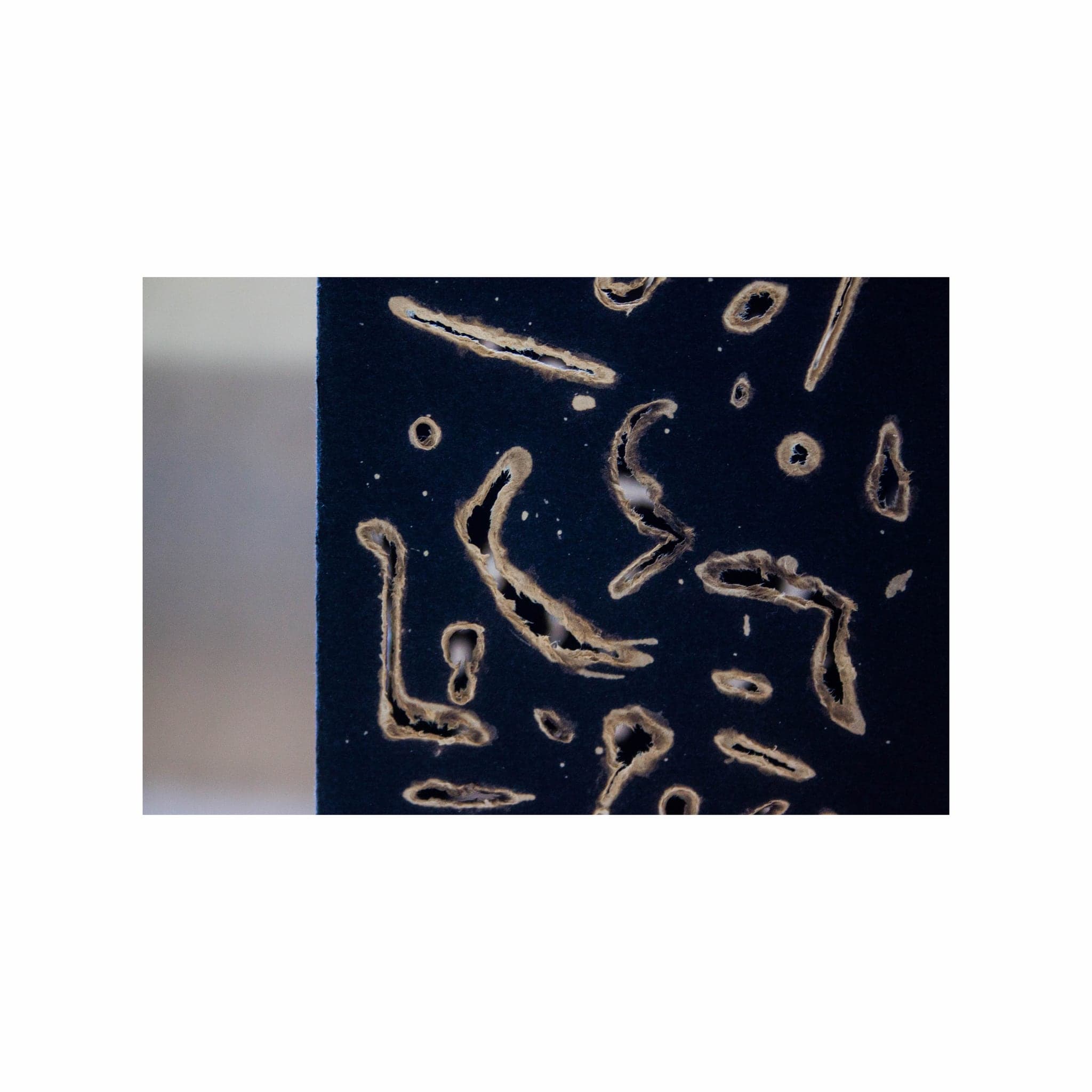 Close view of the marks, pale shapes against deep blue-black paper
