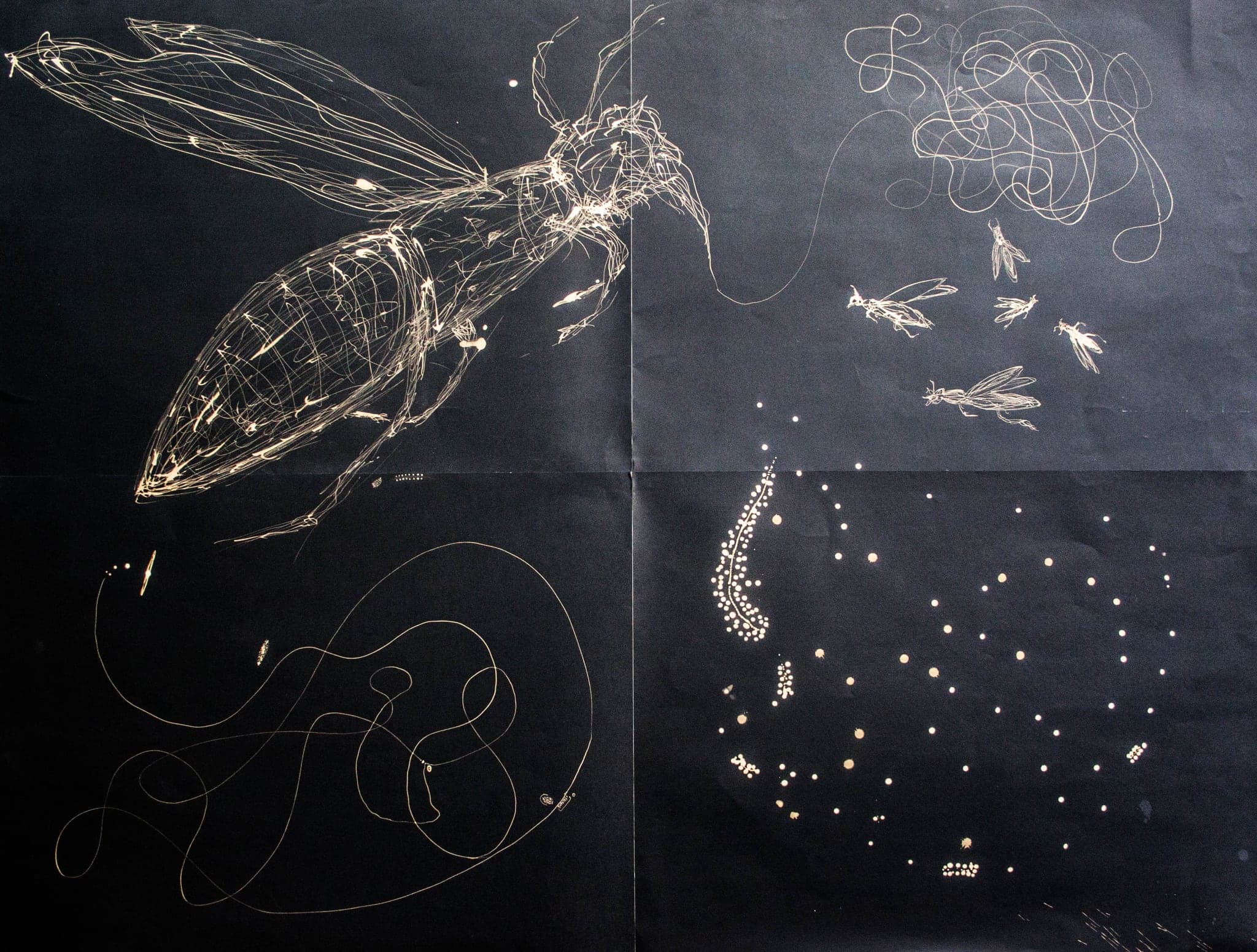 A great insect with meshed wings floating across the sheet, smaller ones scattering ahead of it, loose spirals below, the quartered storage folds running straight through the image