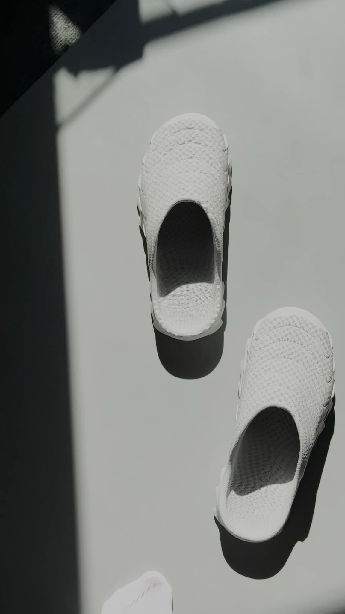 The pair set down on a bright white surface with a hard diagonal band of shadow cutting across the frame behind them